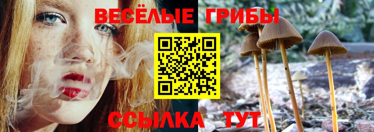 Псилоцибиновые грибы мицелий  Псилоцибиновые грибы Psilocybe  Вход с VPN  Амурск 